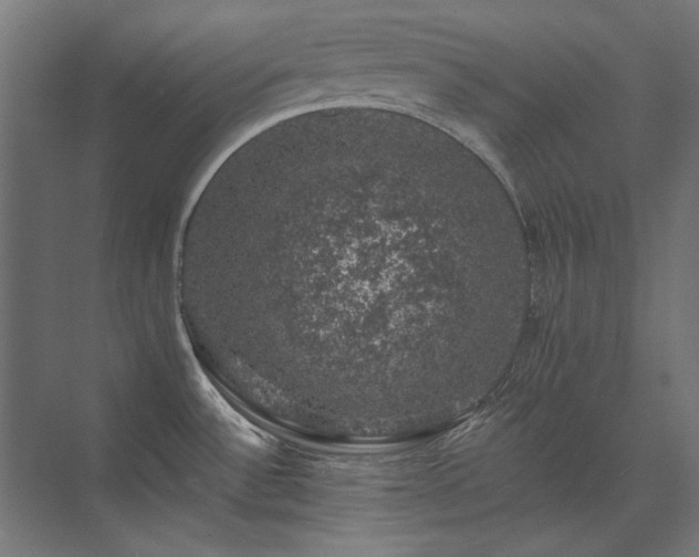 X0000074261532200608251213