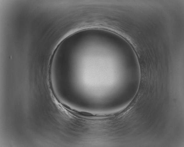 X0000074261534200608251213