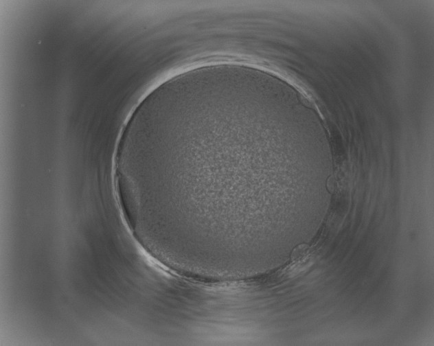 X0000074261535200608251213