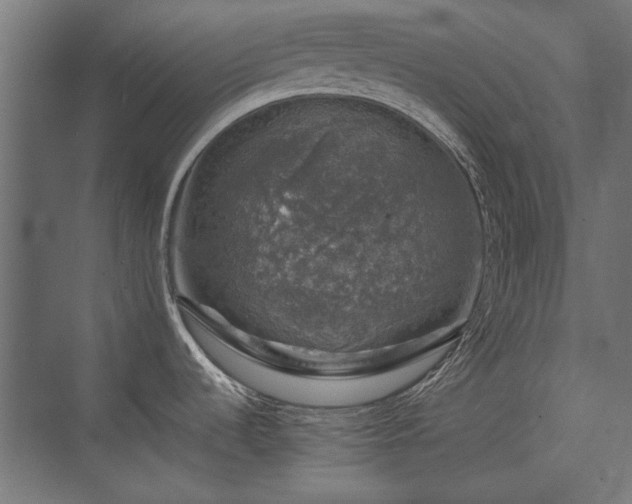 X0000074261536200608251213