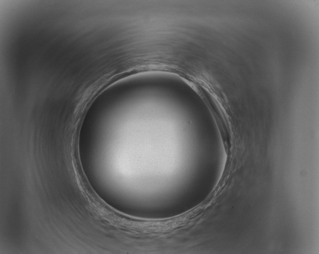 X0000074260001200609011355