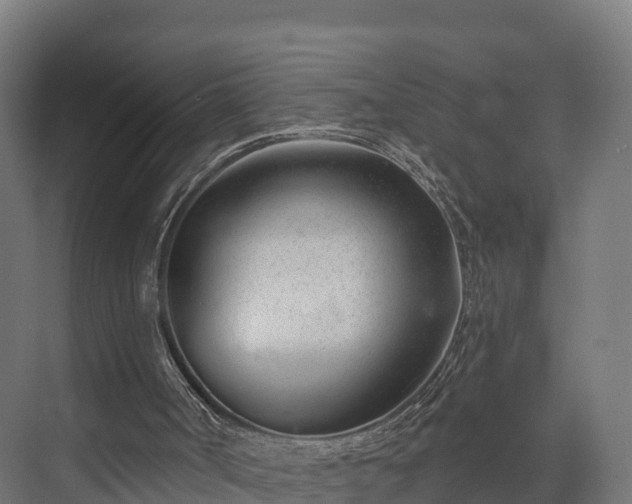 X0000074260002200609011355