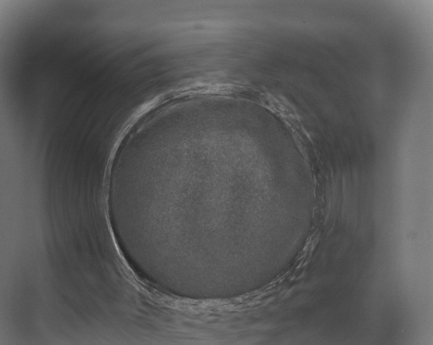 X0000074260003200609011355