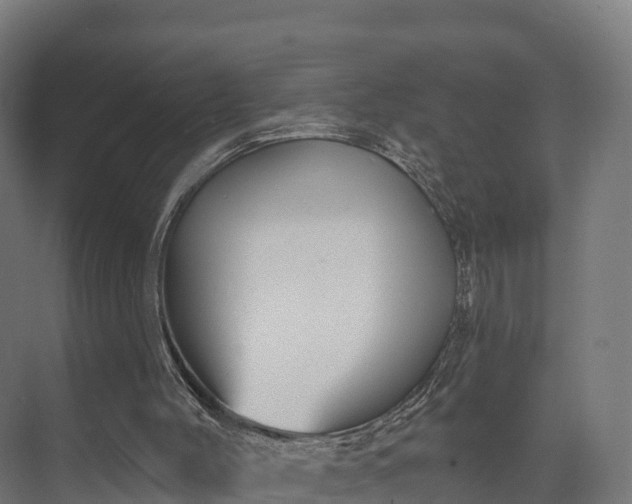 X0000074260004200609011355