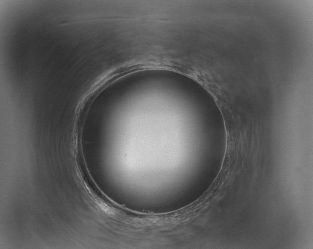 X0000074260005200609011355