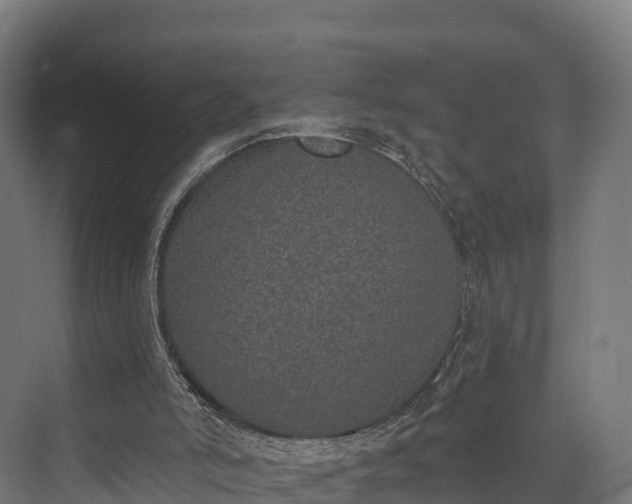 X0000074260006200609011355