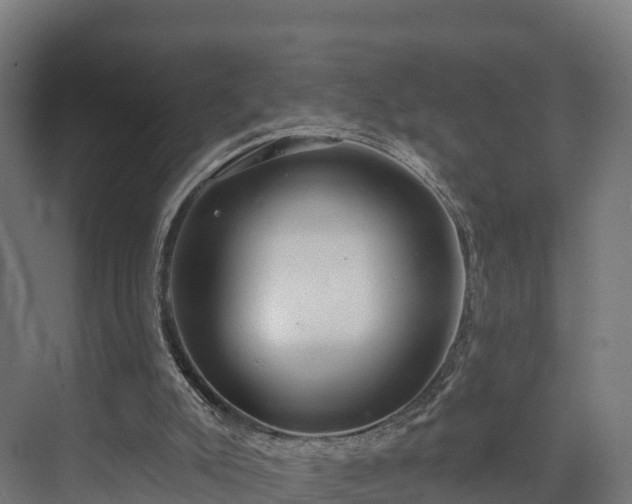 X0000074260007200609011355