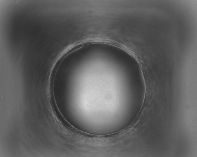 X0000074260008200609011355