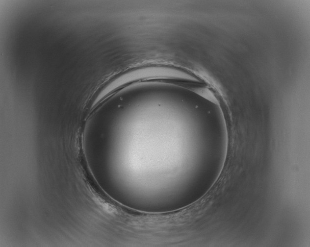 X0000074260009200609011355