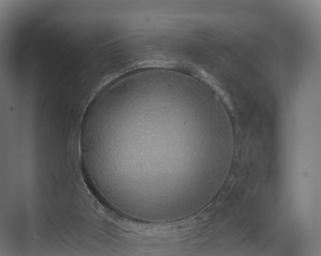 X0000074260011200609011354