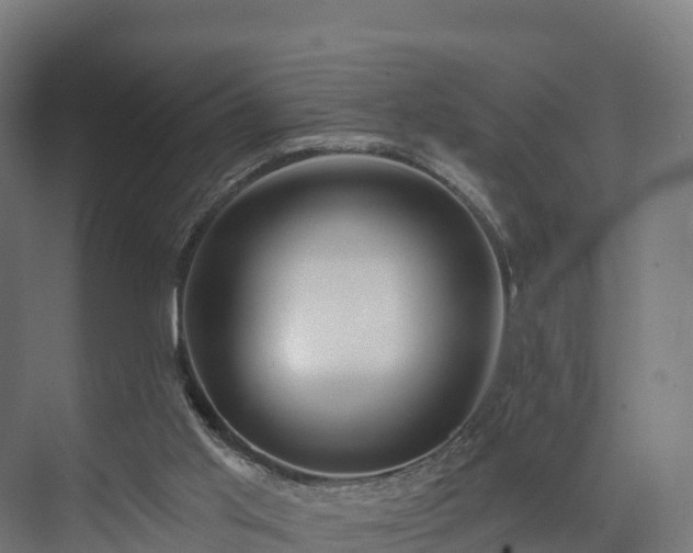 X0000074260013200609011354