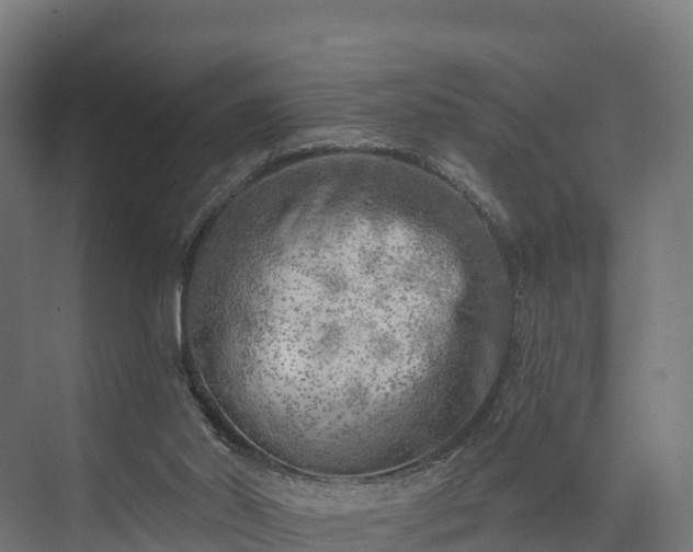 X0000074260014200609011354