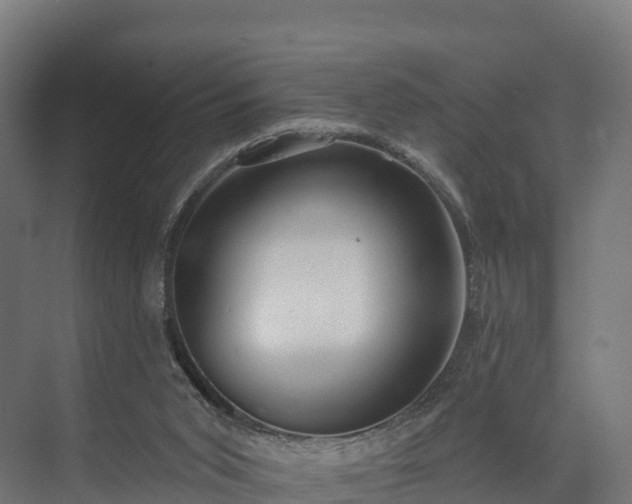 X0000074260015200609011354