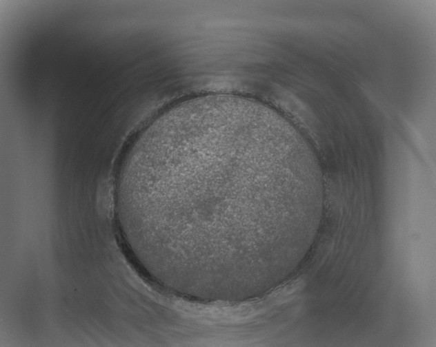 X0000074260016200609011354