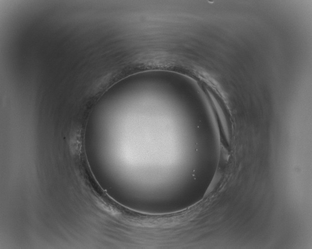 X0000074260017200609011354