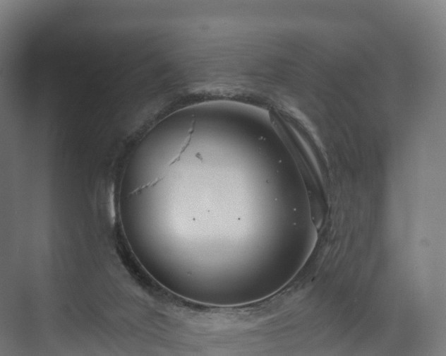 X0000074260020200609011354