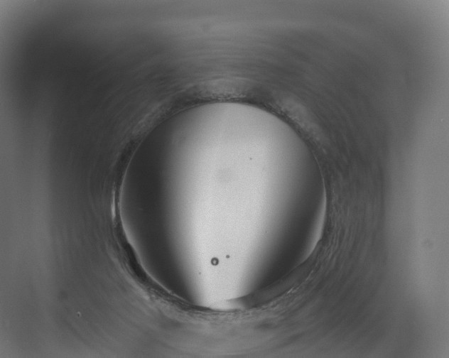 X0000074260021200609011354