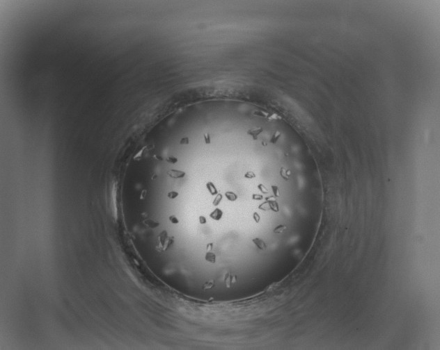 X0000074260022200609011354