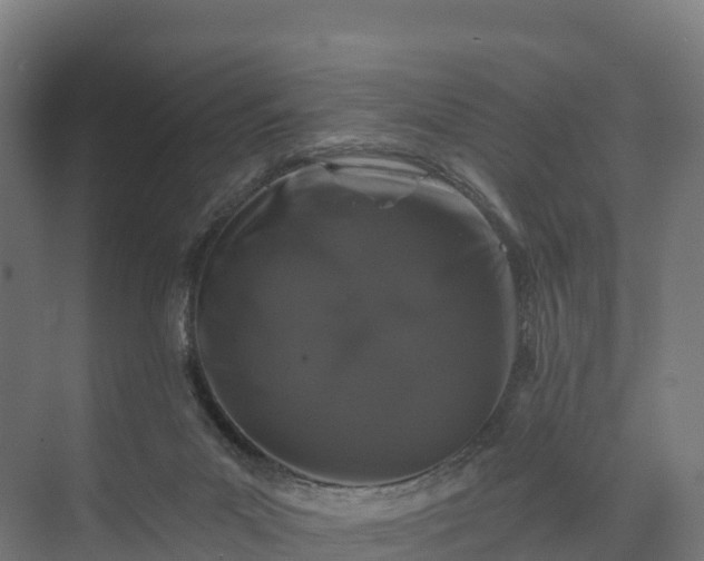 X0000074260023200609011354