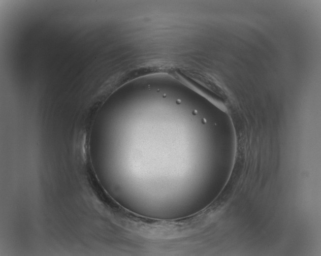 X0000074260024200609011354