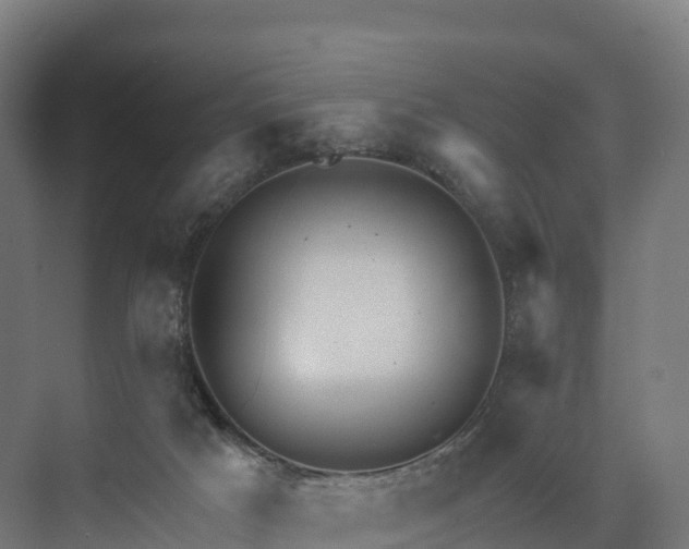 X0000074260025200609011354