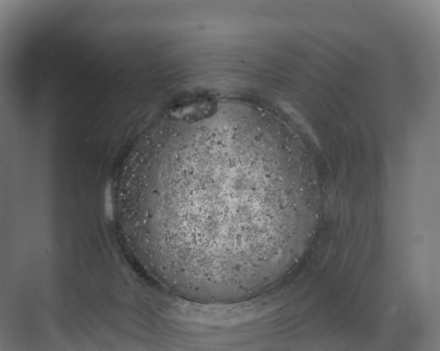 X0000074260026200609011354