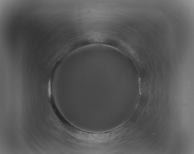 X0000074260027200609011354