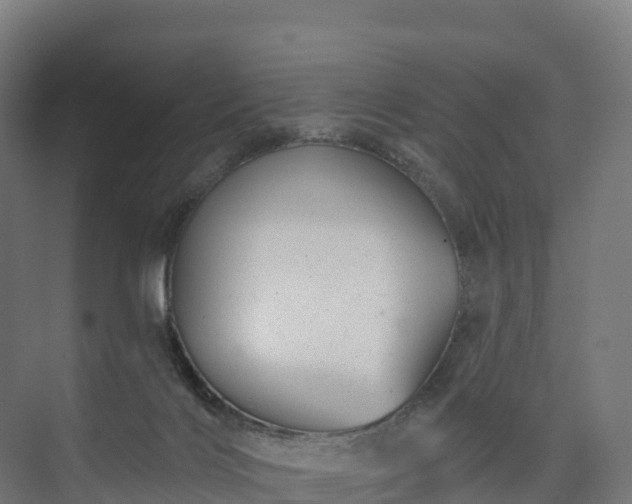 X0000074260028200609011354