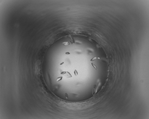 X0000074260030200609011354