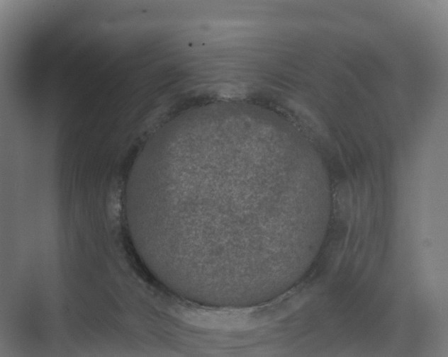 X0000074260032200609011354