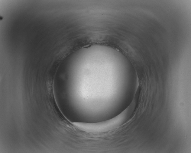 X0000074260033200609011354