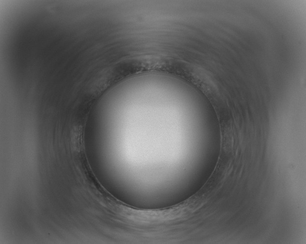 X0000074260034200609011354