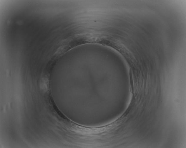 X0000074260035200609011354