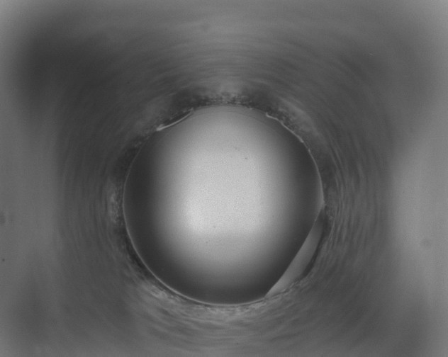 X0000074260037200609011354