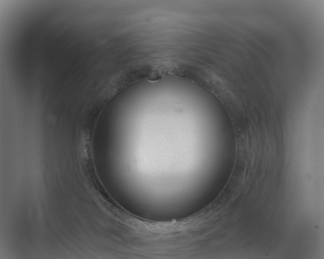 X0000074260038200609011354