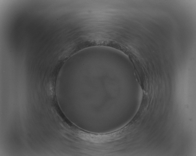 X0000074260039200609011354