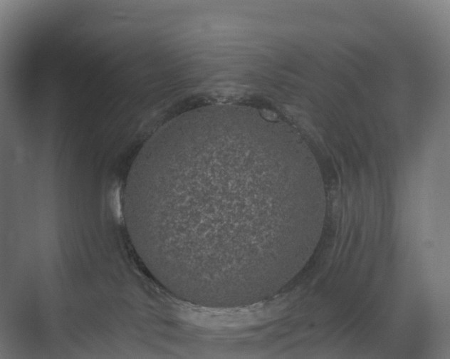 X0000074260042200609011354