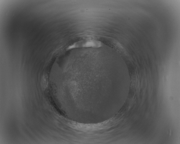 X0000074260043200609011354