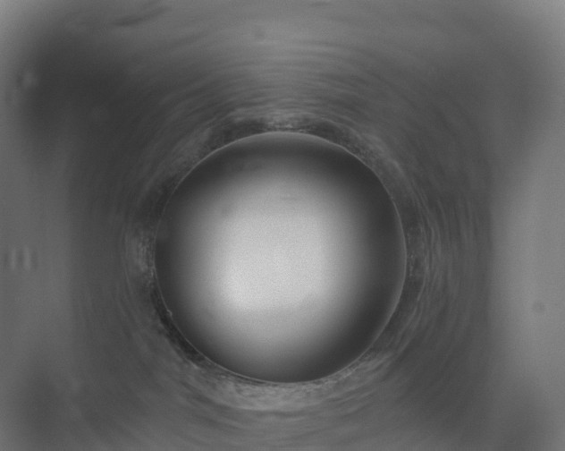 X0000074260044200609011354