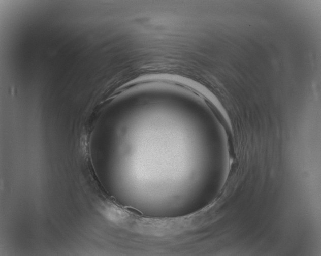 X0000074260045200609011354