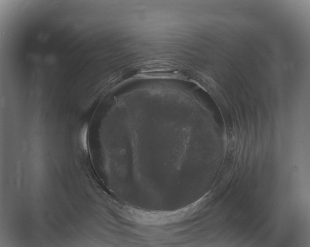 X0000074260047200609011354