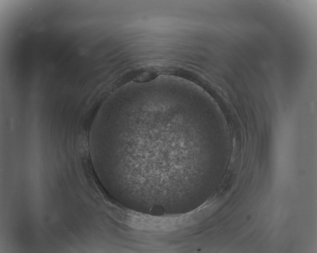 X0000074260048200609011354