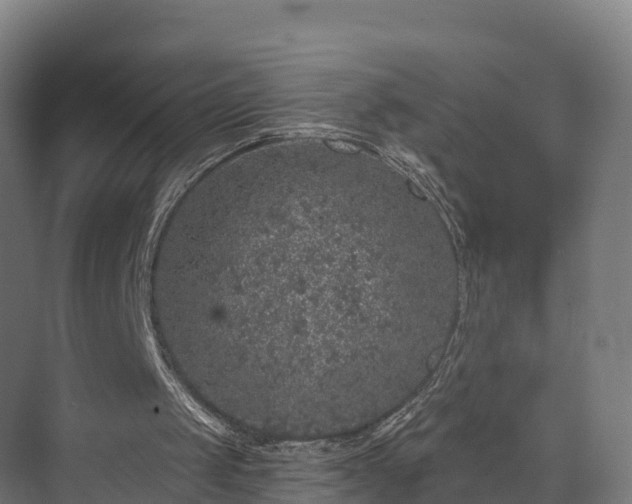 X0000074260049200609011353