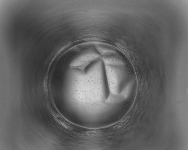 X0000074260050200609011353