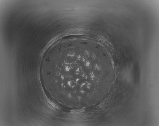 X0000074260051200609011353