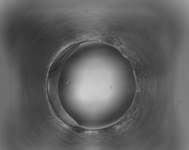 X0000074260052200609011353