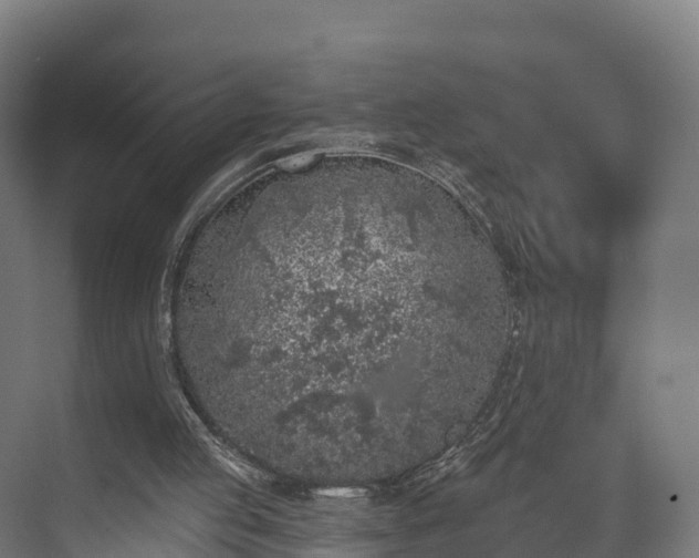 X0000074260053200609011353