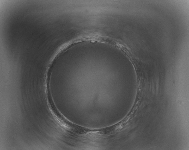 X0000074260054200609011353