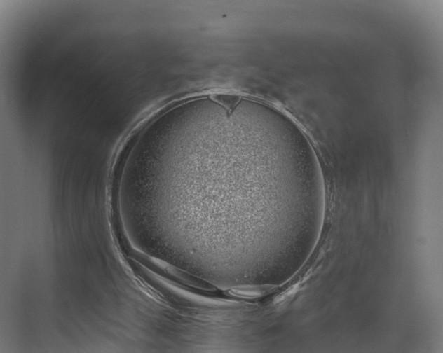 X0000074260055200609011353