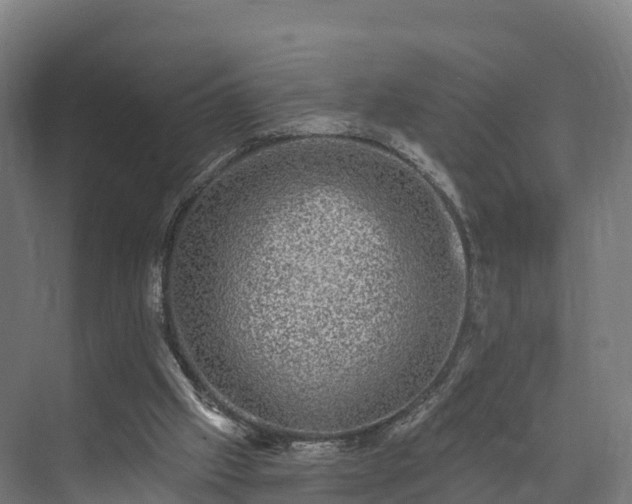 X0000074260057200609011353